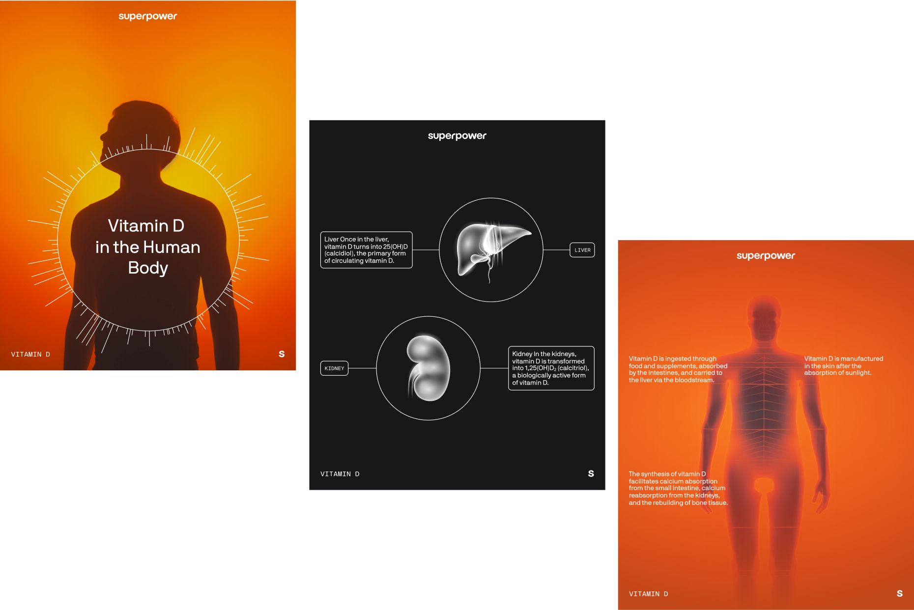 Superpower Vitamin D infographic